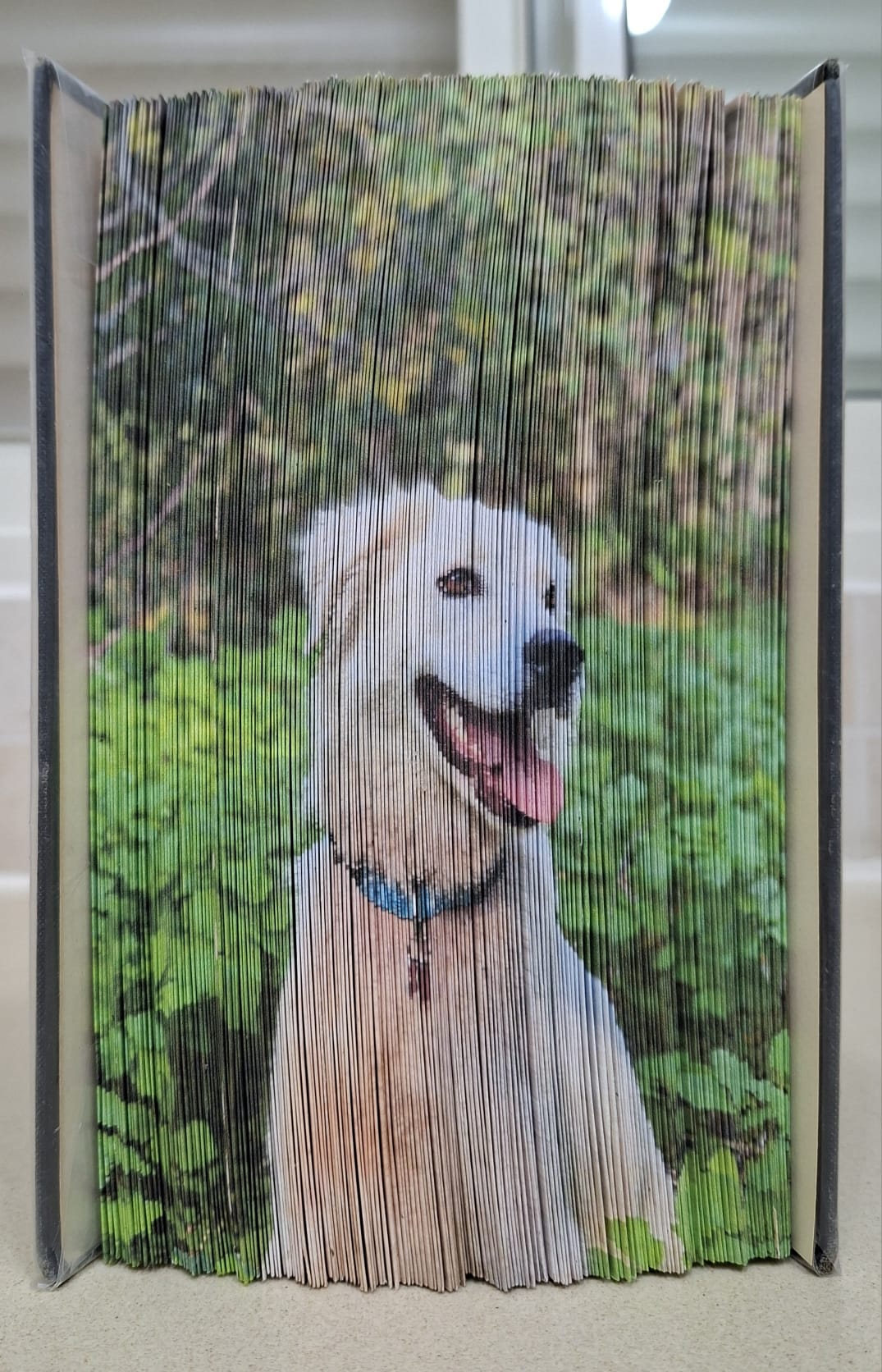 LUNA