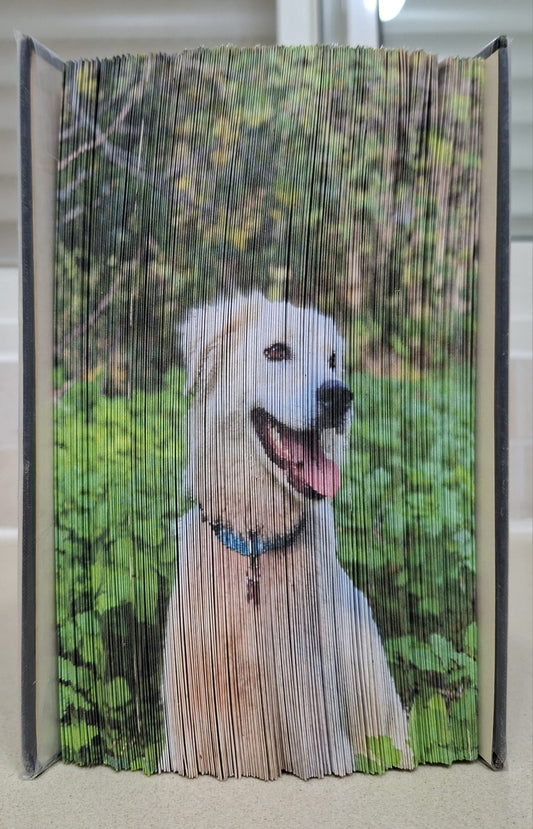 LUNA